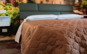 Lion Luxury Rooms